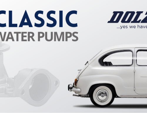 Dolz Classic Water Pumps …yes we have!